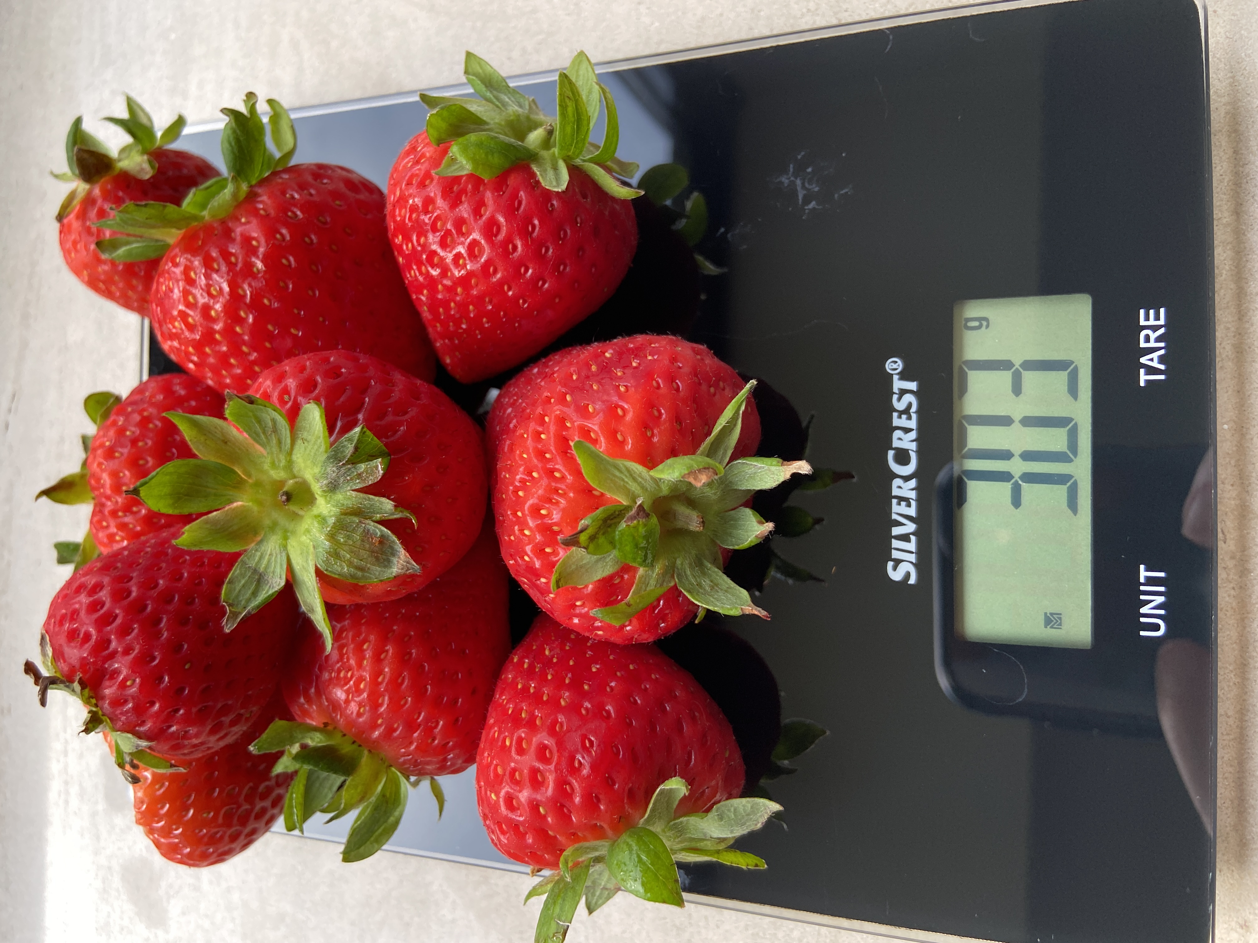 10 strawberries on a kitchen scale, measuring 303 grams